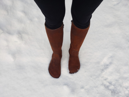 20190110 135938 pro web