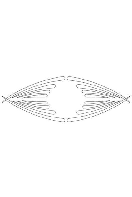 Z999 00621 01 web