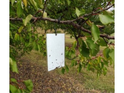 SZf hezillpótraghoz