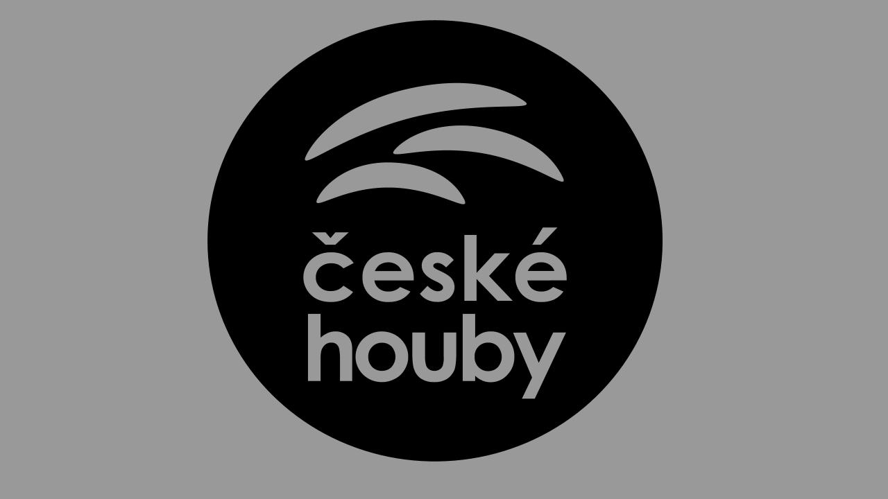 České houby