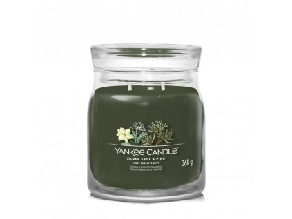 Sviečka Yankee Candle - Silver Sage & Pine, stredná