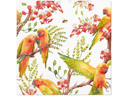 Obrúsky PAW L 33x33cm Exotic birds