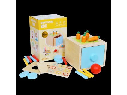 Montessori box 4v1