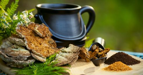 Adaptogénne huby - prieskum sveta prírodných adaptogénov