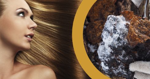 ČAGA, kľúč pre Zdravie a Krásu vlasov
