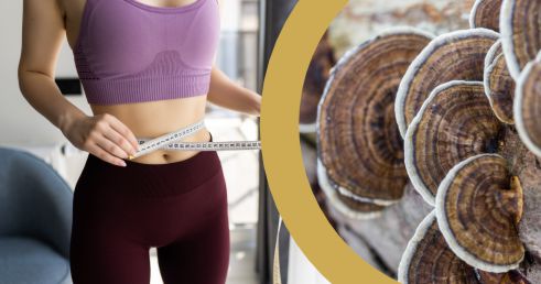 Na ceste Chudnutím s Coriolusom