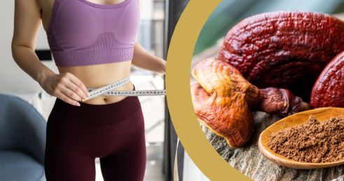 Na ceste Chudnutím s Reishi