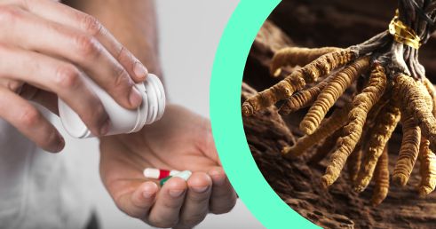 Najlepší čas a vhodné dávkovanie Medicinálnej Huby CORDYCEPS