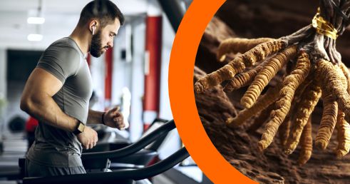 Objavte Silu Cordycepsu - Predtréningový Tajomný Elixír