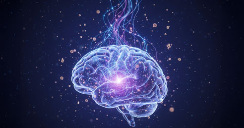 Keď klesá estrogén, mozog dočasne prepája siete