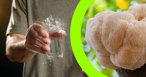 Koralovec ježovitý a Parkinsonová choroba - objavte 5 výhod