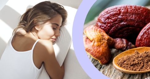 Ako huba Reishi zlepšuje náš spánok?