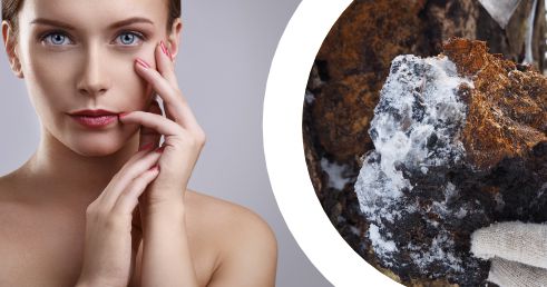 Spojenie medzi zdravou pokožkou a hubou Čaga