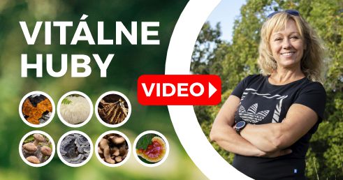Zoznámte sa s vitálnymi (medicinálnymi) hubami