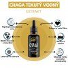 CHAGA LIQUID