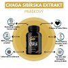CHAGA SIBÍRSKA EXTRAKT