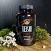 Reishi kapsuly 02