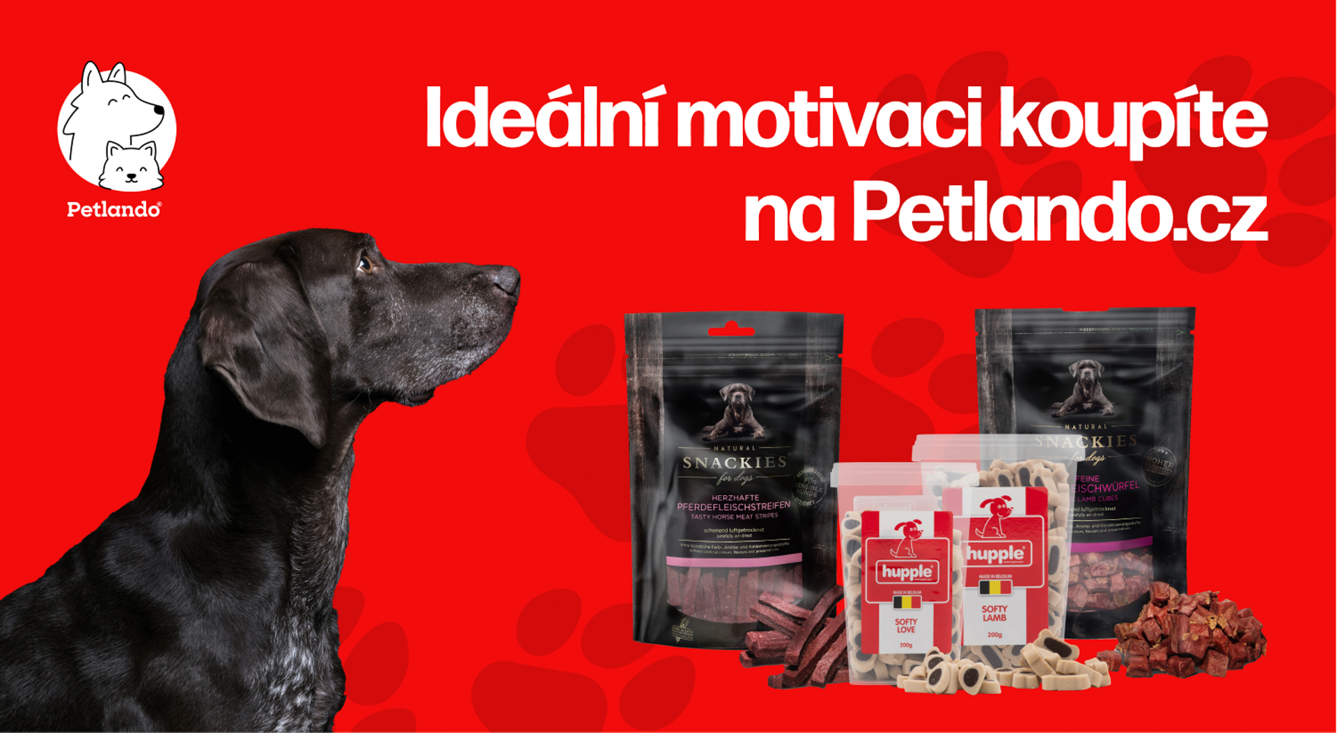 PET_pamlsky_dogfitness