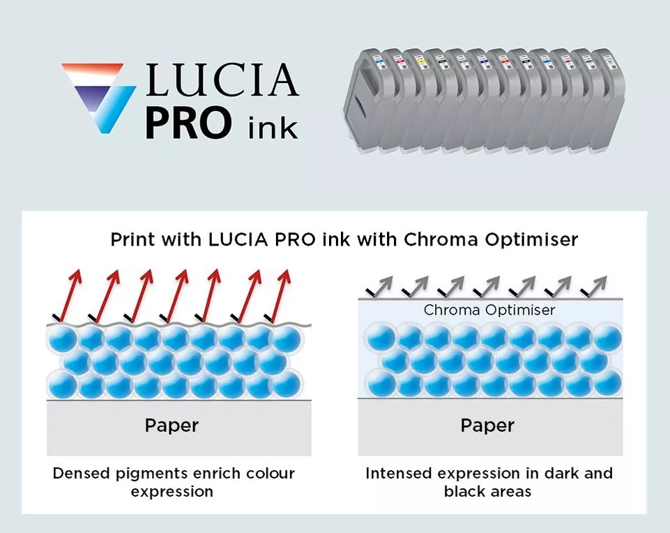 lucia-pro-(co)