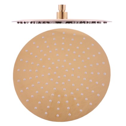 19429 1 1657 1 hlavova sprcha zlata leskla ks0001z rav slezak