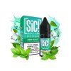 sic salt mint tea ice vaping cz