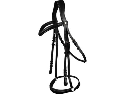 Bridle X-Line Hannover Waldhausen, black