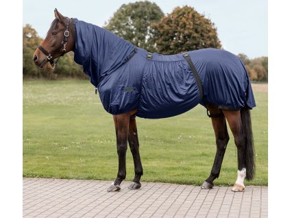 Basic Eczema rug Waldhausen, night blue