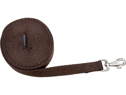 Lunging Line Waldhausen, 8 m,  brown