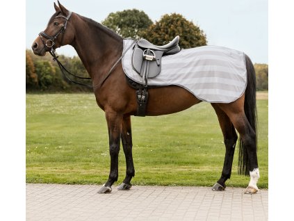 Fly riding rug Economic Waldhausen, silver grey