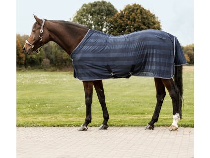Fly Sheet Economic Waldhausen, night blue