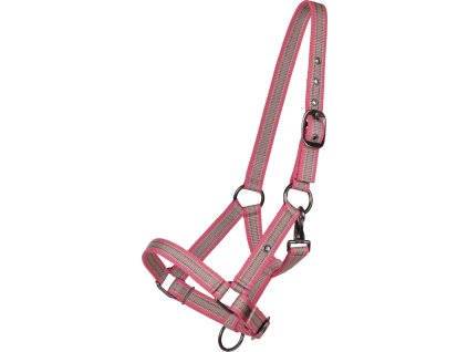 Head collar foal QHP, flamingo