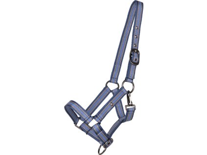 Head collar foal QHP, seashell