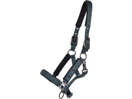 Head collar foal Deluxe QHP, dark green