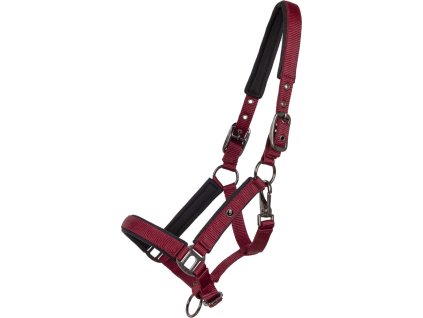 Head collar foal Deluxe QHP, burgundy
