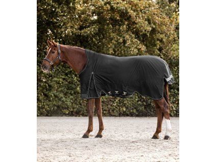 SCANDIC Turnout Rug, High Neck, 100 g - black