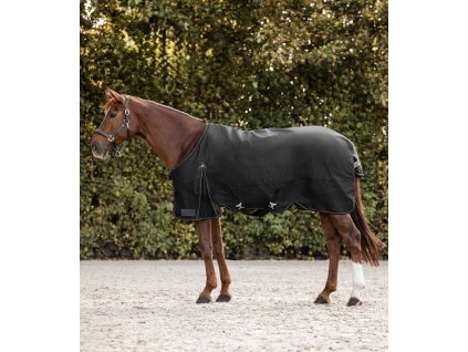 ARCTIC Turnout Rug, 100 g - black
