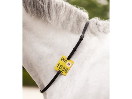 Riding Strap for riding badge Waldhausen, black