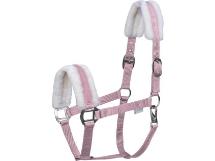 First halter Waldhausen, cherry blossom