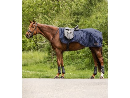 Rug Exercise Sheet Exclusive Waldhausen, night blue