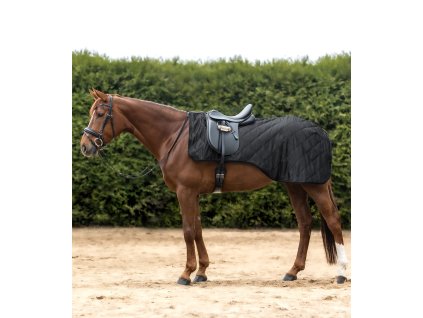 Rug Exercise Sheet Exclusive Waldhausen, black