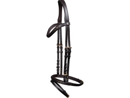 Bridle Stone Icelandic Waldhausen, brown/gold
