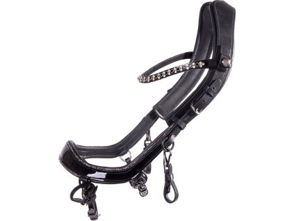 Anatomical bridle Glitter FaySport PresTeq, black