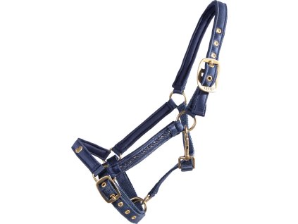 Head collar foal Lily QHP, navy