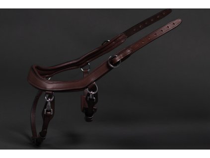 Noseband PresTeq, brown