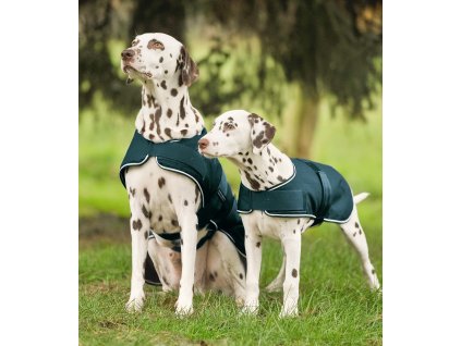 Dog raincoat Waldhausen, fir green