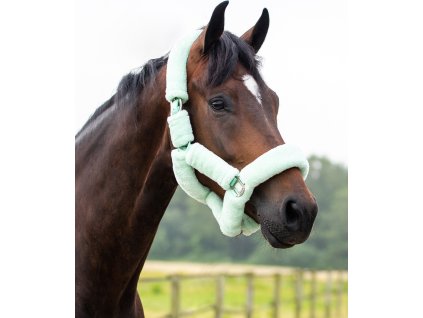 Head collar Alaska QHP, mint green