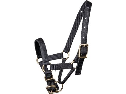 Alpaca halter Waldhausen, black