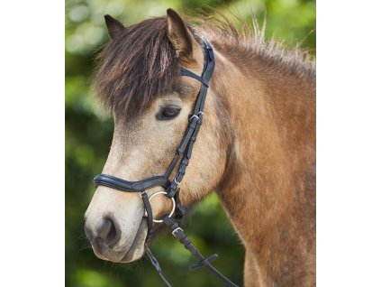 Bridle Anatomical Icelandic Waldhausen, black/silver