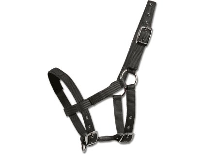 Halter for Mini-Shetty Waldhausen, black