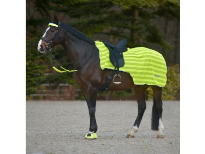 REFLEX Hind Exercise Sheet - neon yellow